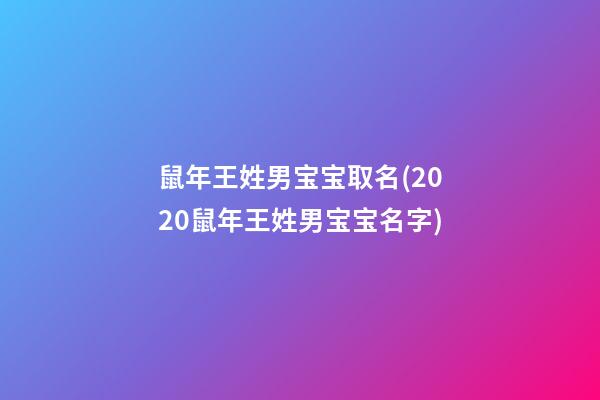 鼠年王姓男宝宝取名(2020鼠年王姓男宝宝名字)