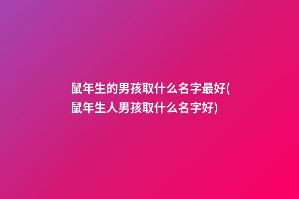 鼠年生的男孩取什么名字最好(鼠年生人男孩取什么名字好)