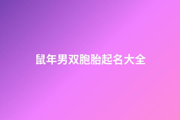 鼠年男双胞胎起名大全
