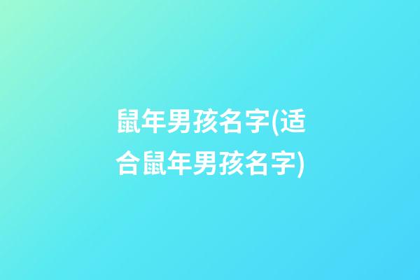 鼠年男孩名字(适合鼠年男孩名字)