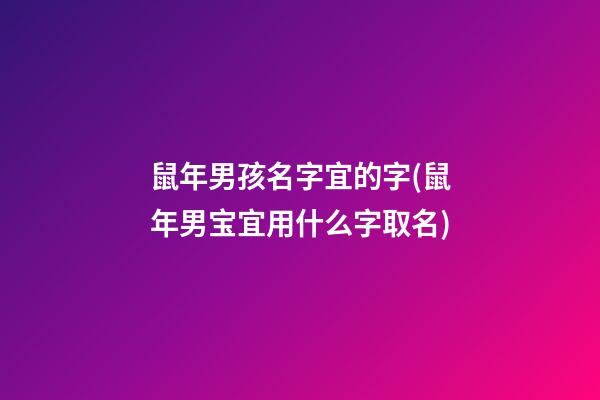 鼠年男孩名字宜的字(鼠年男宝宜用什么字取名)