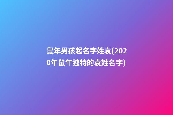 鼠年男孩起名字姓袁(2020年鼠年独特的袁姓名字)