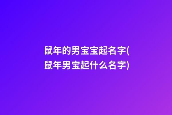鼠年的男宝宝起名字(鼠年男宝起什么名字)