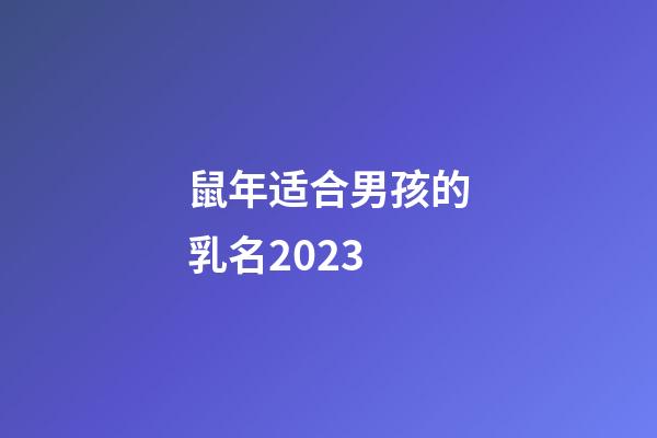 鼠年适合男孩的乳名2023