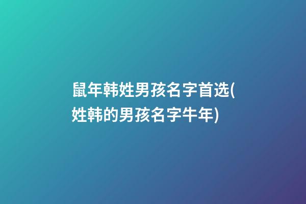 鼠年韩姓男孩名字首选(姓韩的男孩名字牛年)