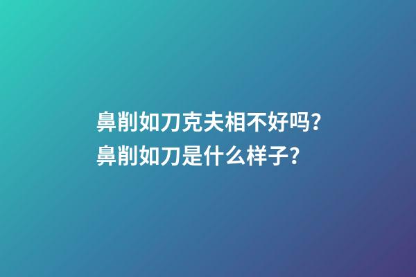 鼻削如刀克夫相不好吗？鼻削如刀是什么样子？