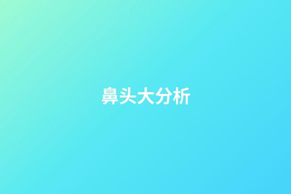鼻头大分析