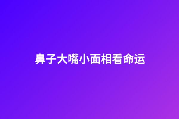 鼻子大嘴小面相看命运