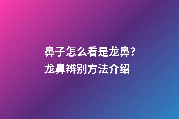 鼻子怎么看是龙鼻？龙鼻辨别方法介绍
