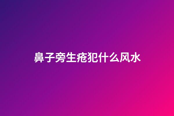 鼻子旁生疮犯什么风水