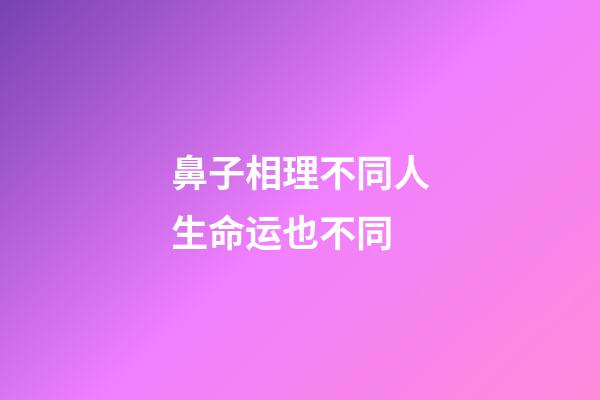 鼻子相理不同人生命运也不同