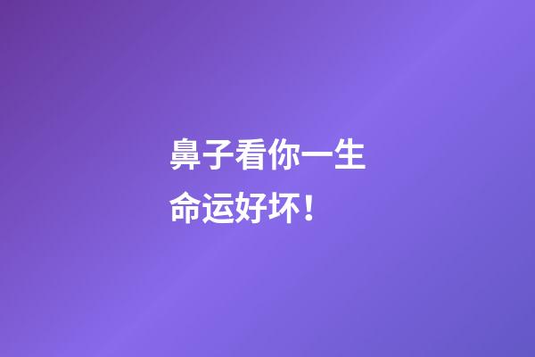 鼻子看你一生命运好坏！