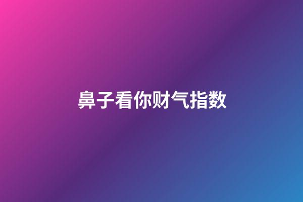 鼻子看你财气指数