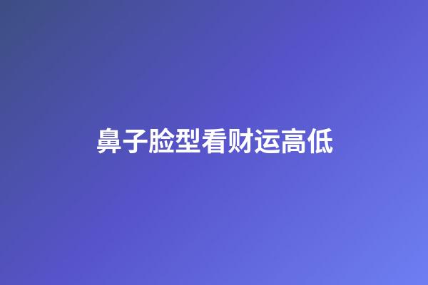 鼻子脸型看财运高低