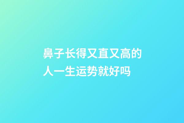 鼻子长得又直又高的人一生运势就好吗