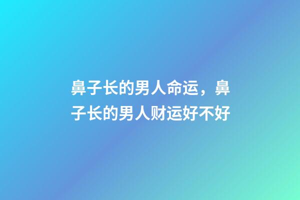 鼻子长的男人命运，鼻子长的男人财运好不好
