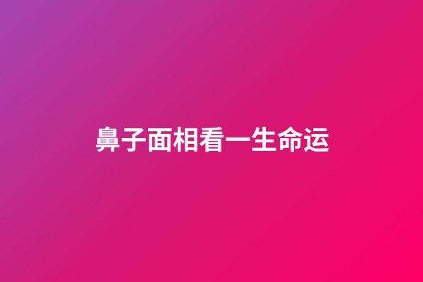 鼻子面相看一生命运