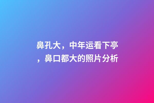 鼻孔大，中年运看下亭，鼻口都大的照片分析