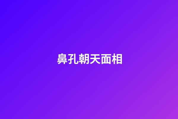 鼻孔朝天面相