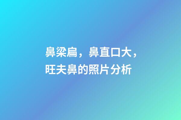 鼻梁扁，鼻直口大，旺夫鼻的照片分析