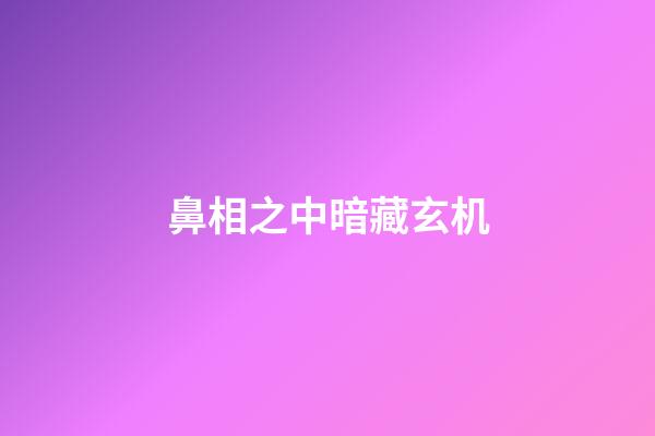 鼻相之中暗藏玄机