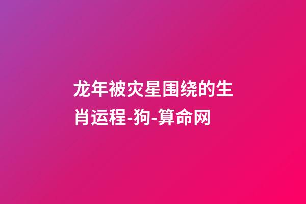 龙年被灾星围绕的生肖运程-狗-算命网