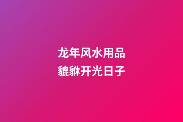 龙年风水用品貔貅开光日子