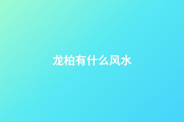 龙柏有什么风水