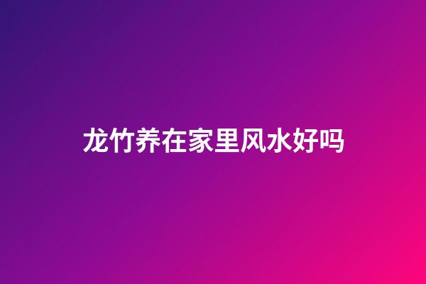 龙竹养在家里风水好吗