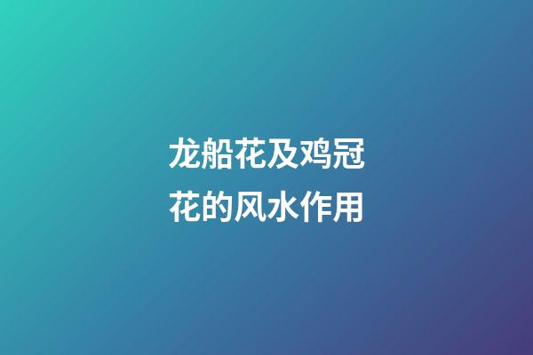 龙船花及鸡冠花的风水作用?