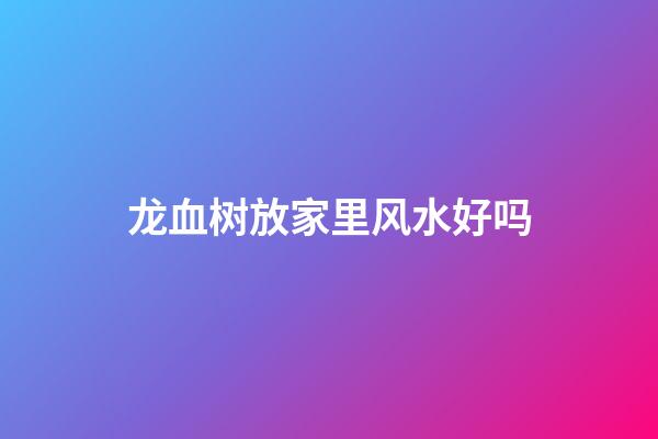 龙血树放家里风水好吗