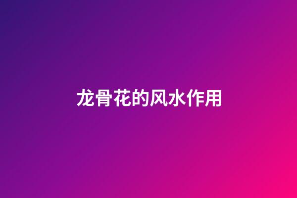 龙骨花的风水作用