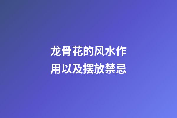龙骨花的风水作用以及摆放禁忌