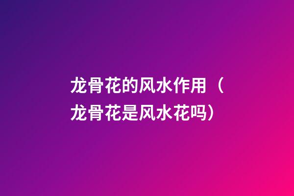 龙骨花的风水作用（龙骨花是风水花吗）
