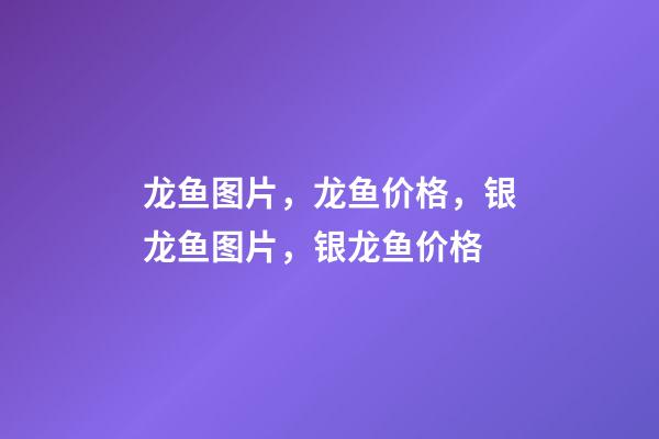 龙鱼图片，龙鱼价格，银龙鱼图片，银龙鱼价格
