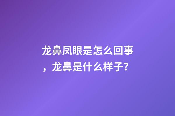 龙鼻凤眼是怎么回事，龙鼻是什么样子？