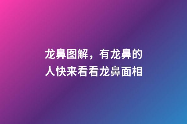 龙鼻图解，有龙鼻的人快来看看龙鼻面相