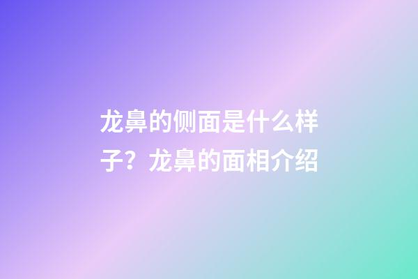 龙鼻的侧面是什么样子？龙鼻的面相介绍