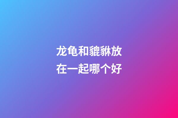 龙龟和貔貅放在一起哪个好