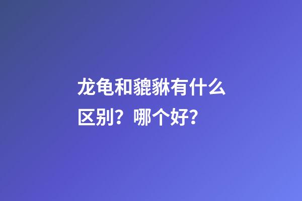 龙龟和貔貅有什么区别？哪个好？
