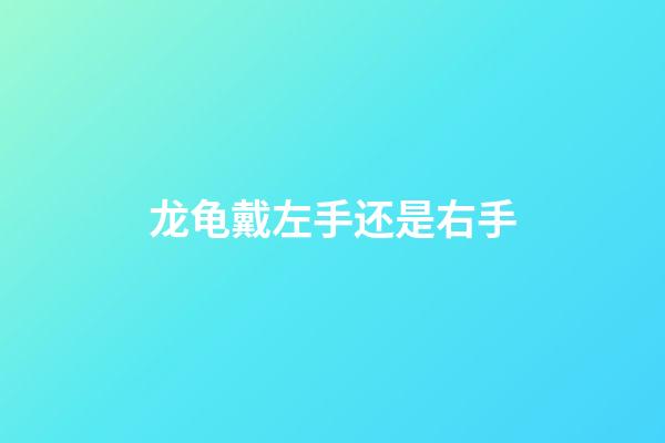 龙龟戴左手还是右手