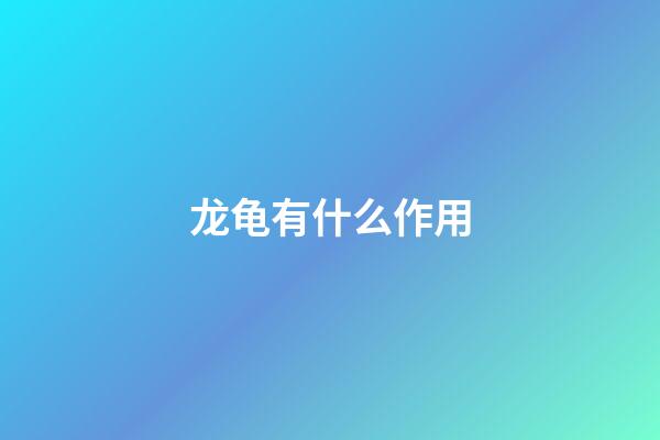 龙龟有什么作用