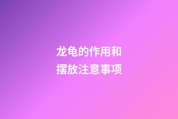 龙龟的作用和摆放注意事项