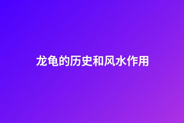龙龟的历史和风水作用