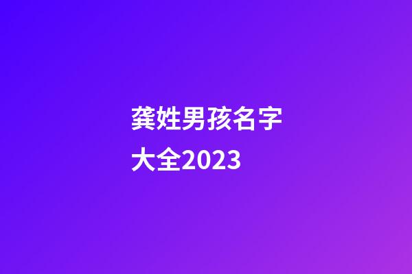 龚姓男孩名字大全2023
