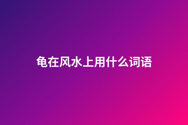 龟在风水上用什么词语