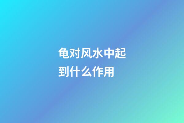 龟对风水中起到什么作用