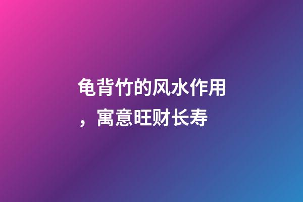龟背竹的风水作用，寓意旺财长寿