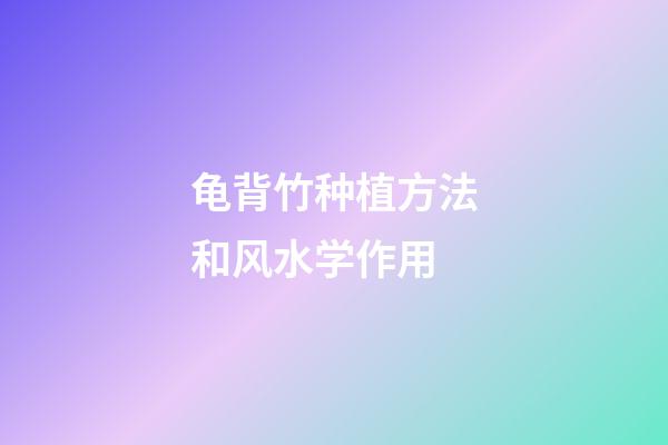 龟背竹种植方法和风水学作用