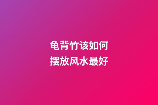 龟背竹该如何摆放风水最好
